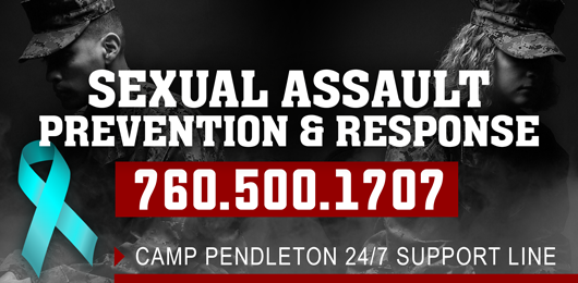 img-hlink_sexual_assault_prevention.png